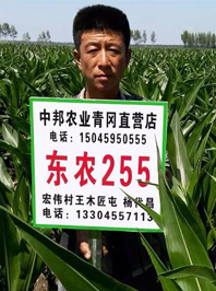 東農(nóng)255