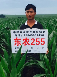 東農(nóng)255