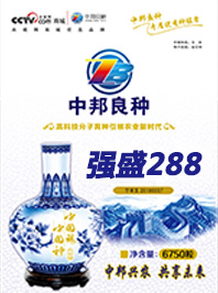 強盛288