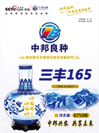 三豐165